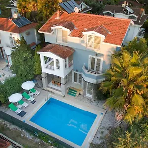 https://villa-mavi.aegeanhotels.net